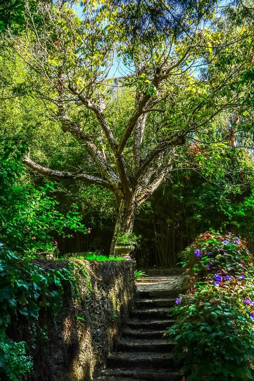 Um jardim em Casa Vela Boutique House