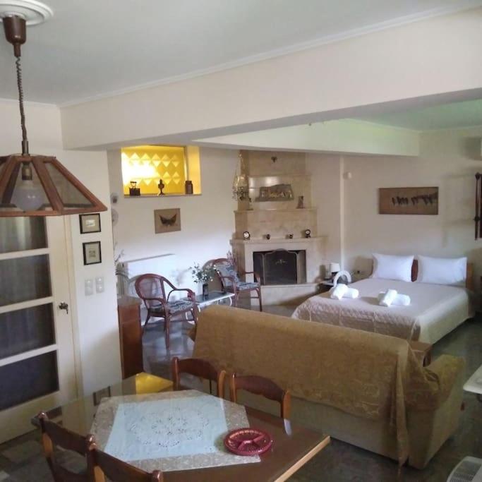 uma sala de estar com um sofá, uma cama e uma lareira em Ευρύχωρο διαμέρισμα σε ήσυχη γειτονιά em Kalamata