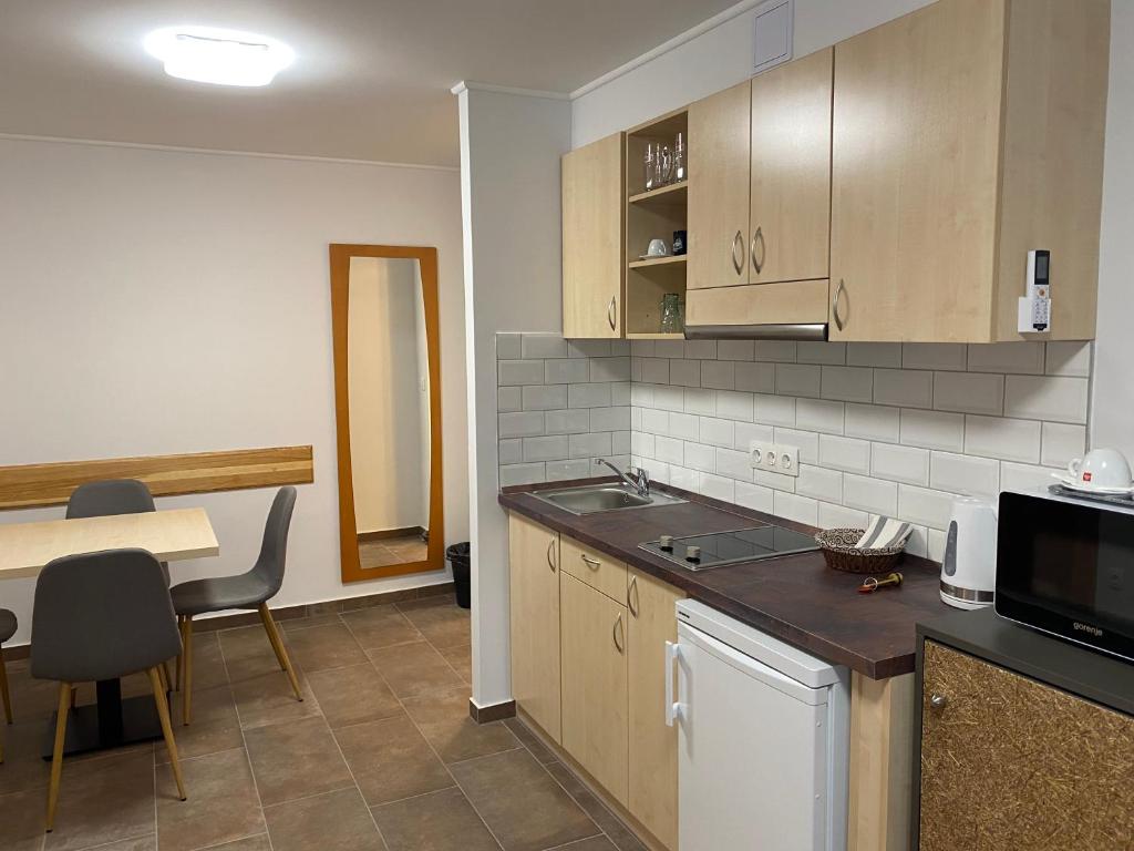 kuchnia ze zlewem i blatem w obiekcie Aurora Béta Apartman's w mieście Bük