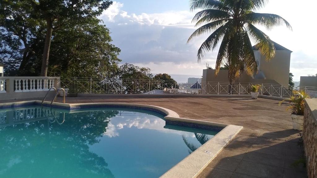 uma piscina com uma palmeira ao fundo em Amazing Location! Walk to town, beach & dinner - PAYMENT REQUIRED TO RESERVE em Ocho Rios
