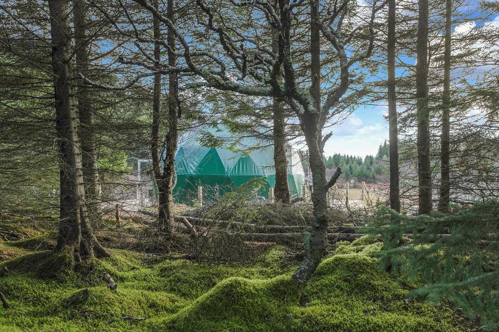 Příroda nedaleko luxury tent