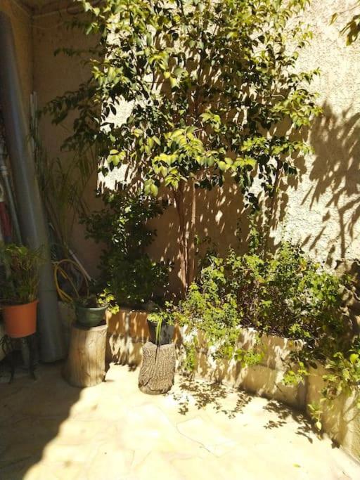 Ogród w obiekcie Studio idéal pour deux voyageurs sur Marseille