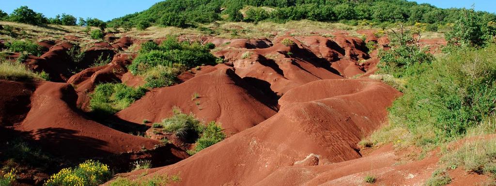 a red dirt hillside with trees and bushes on it at Le Hameau des Genets in Montlaur