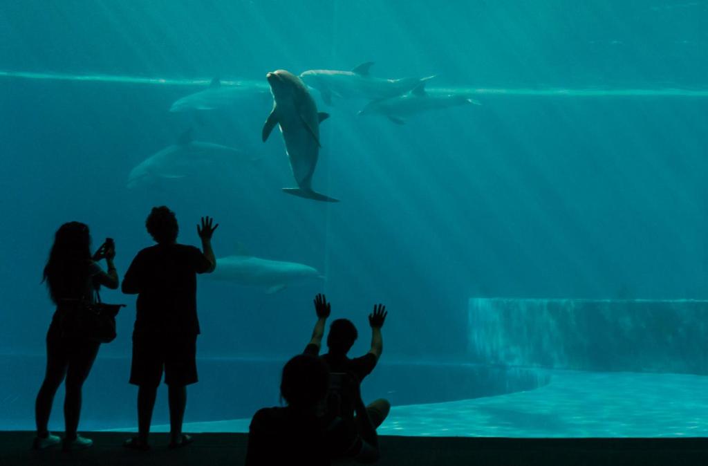 Hotel Astoria - Resim 20