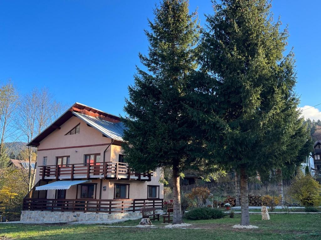 a large house with a tree in front of it at The View Sinaia-Busteni in Buşteni