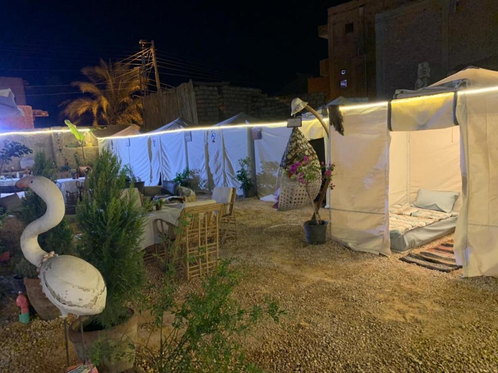 Zahrada ubytování Muhra Camp Siwa