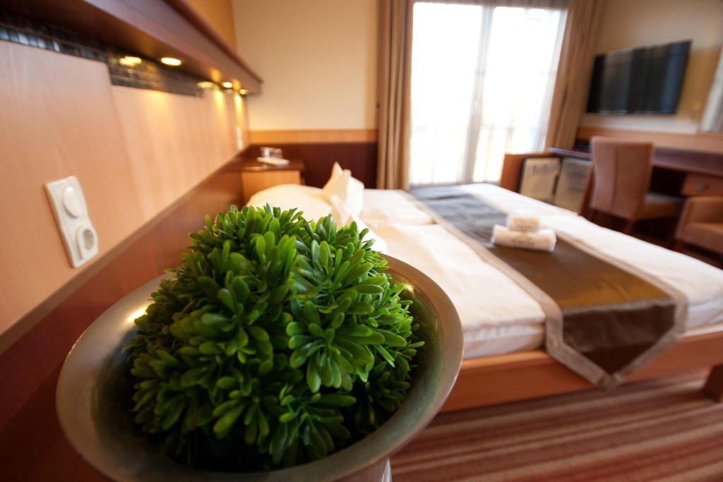 Xavin Wellness Hotel & Restaurant - Tweepersoonskamer Met Extra Bed