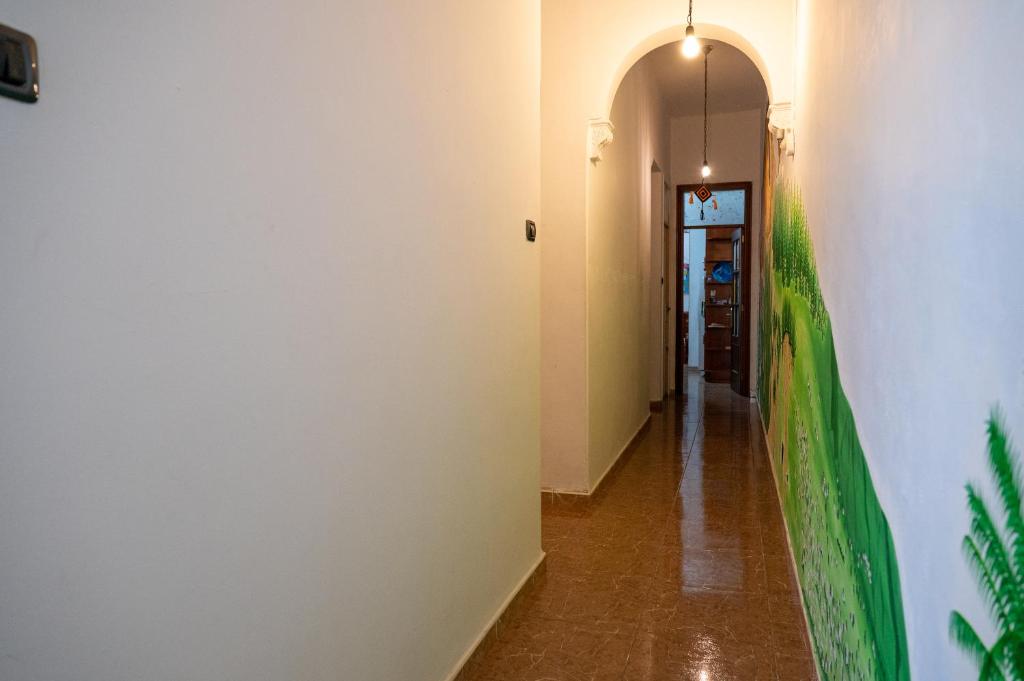 Fotografie z fotogalerie ubytování Drago Hostel v destinaci Icod de los Vinos