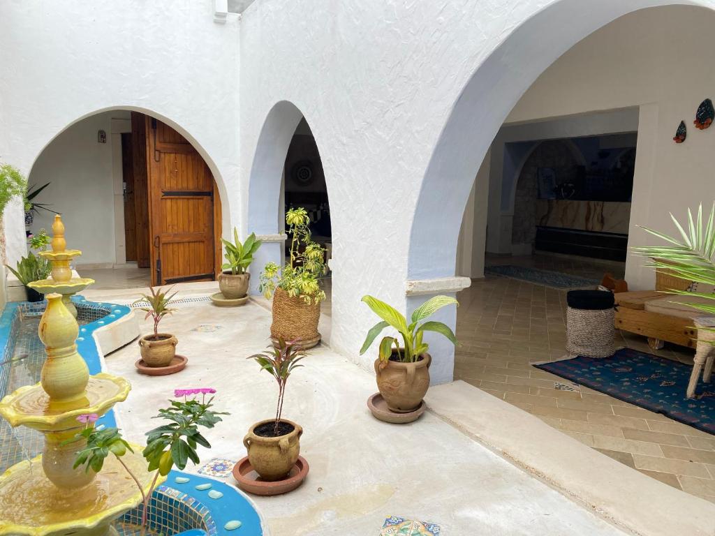 a courtyard with a bunch of potted plants at Hôtel Djerba Authentique - Au centre de Midoun in Midoun