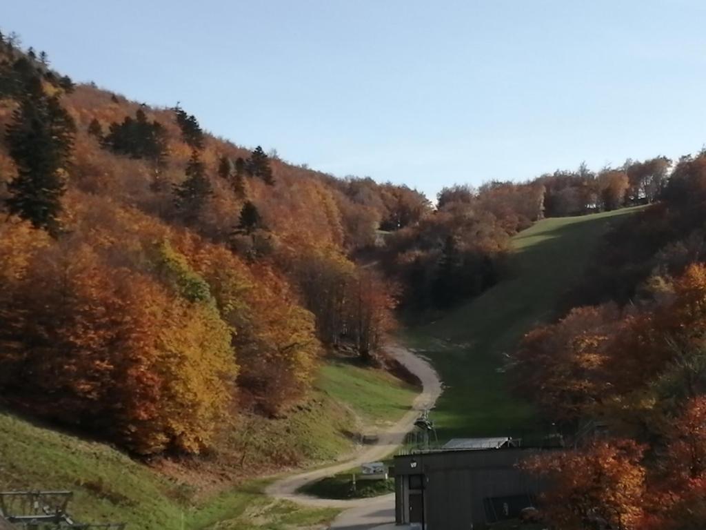 Un camino sinuoso en las montañas con follaje otoñal. en petit nid montagnard, en Rousset