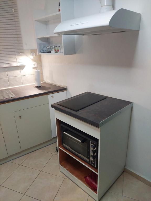 Kuchyňa alebo kuchynka v ubytovaní Garden house Karystos