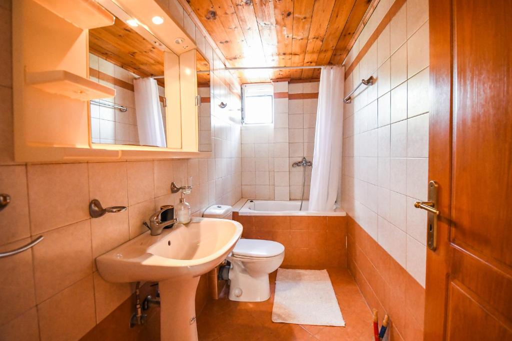A bathroom at Elatia Villa