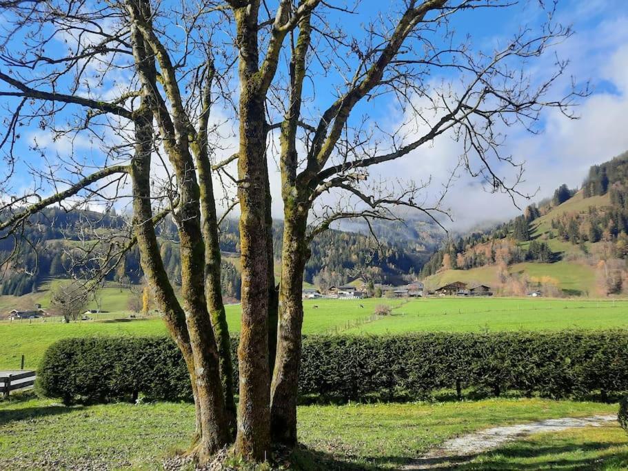Fotografie z fotogalerie ubytování Haus Kreuzboden v destinaci Hundsdorf