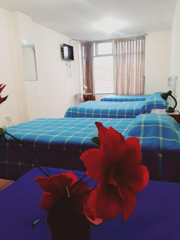 Postel nebo postele na pokoji v ubytování Hotel Central