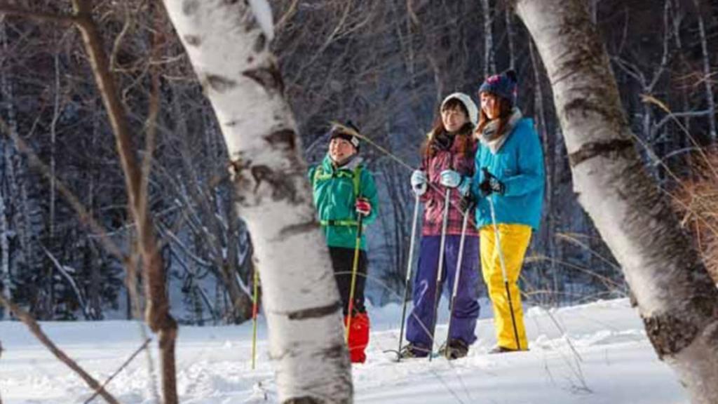 Hosté ubytování Kyukamura Norikura-Kogen