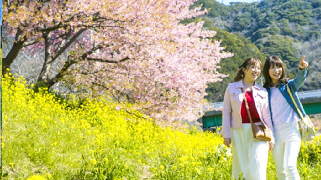 Hosté ubytování Kyukamura Minami-Izu