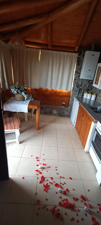 Kuchyň nebo kuchyňský kout v ubytování Terrazas de Mallin