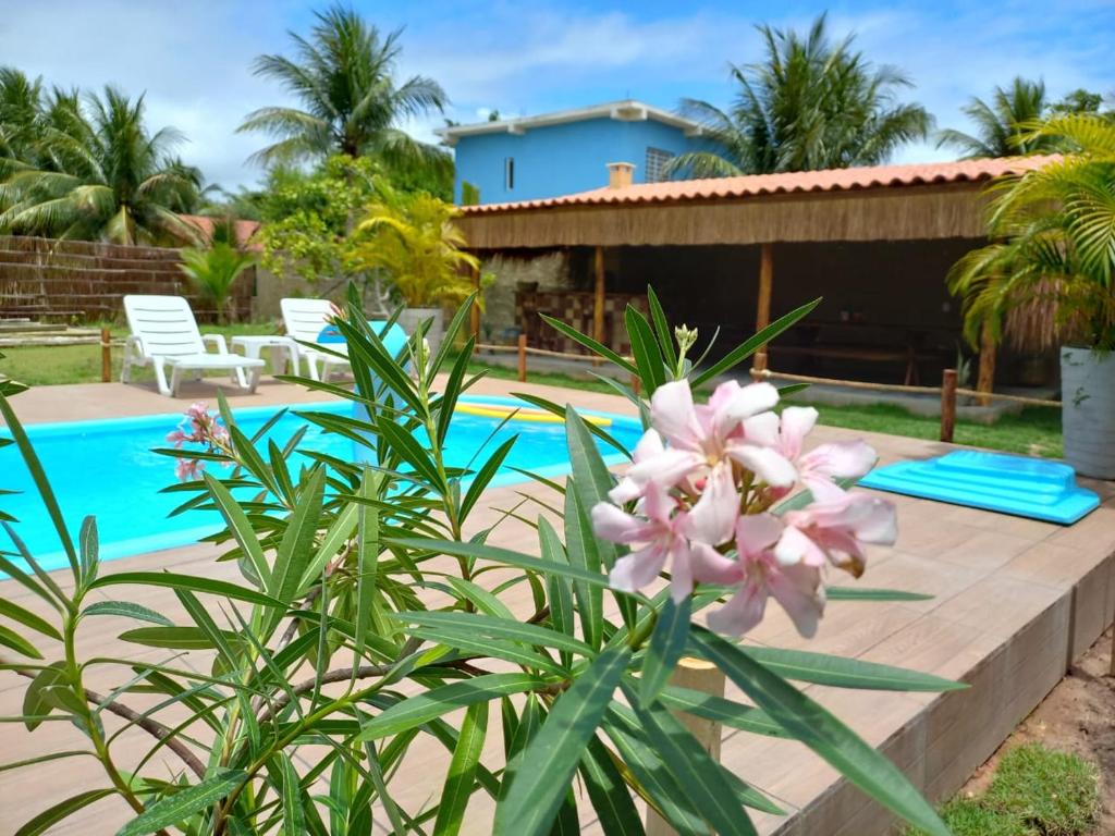 a villa with a swimming pool and a house at Villa da Apa in Japaratinga