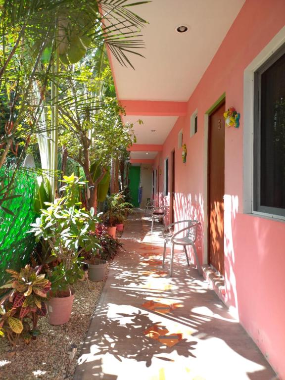 Zahrada ubytování Casona del Negro Aguilar
