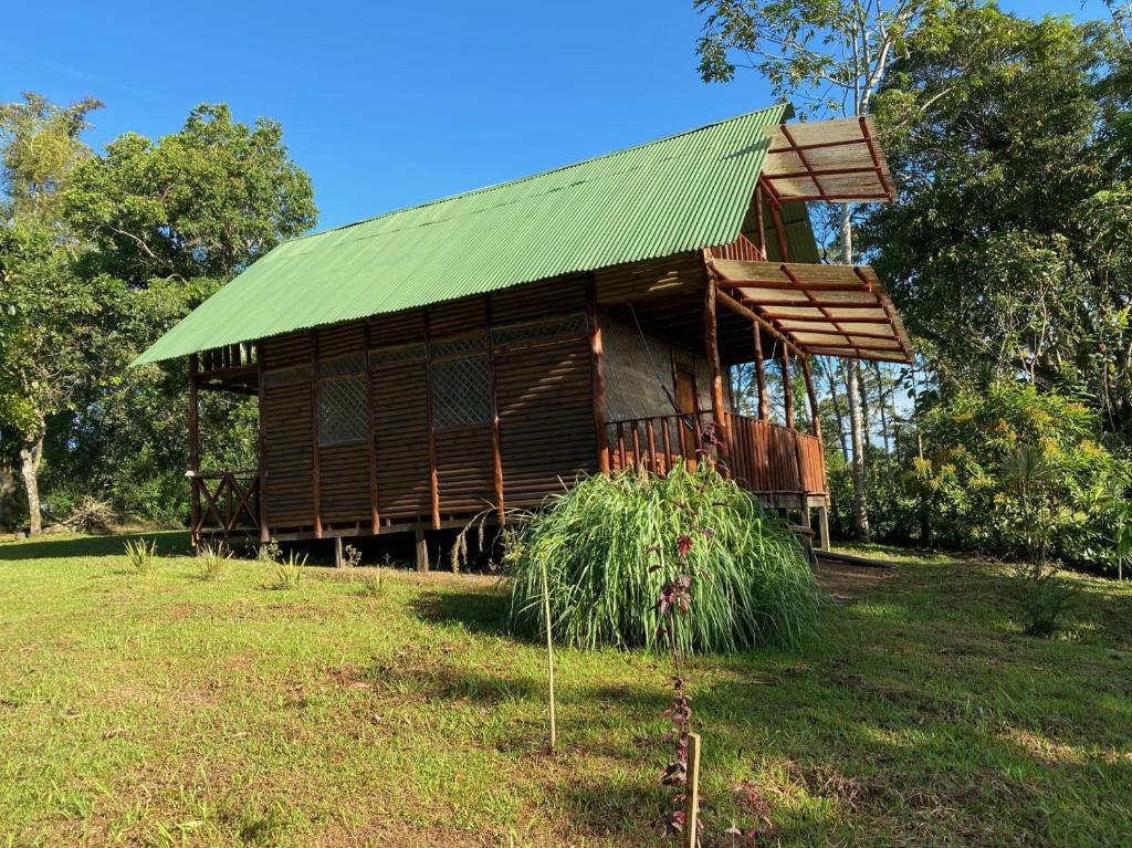 a wooden hut with a green roof in a field at Eco Guest House- Sarapiquí 2 in Sarapiquí