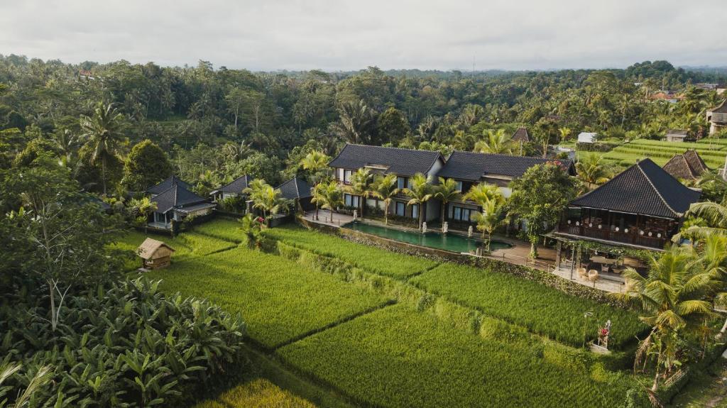 una vista aerea di un resort nella giungla di Pinggala Villa Ubud a Gianyar