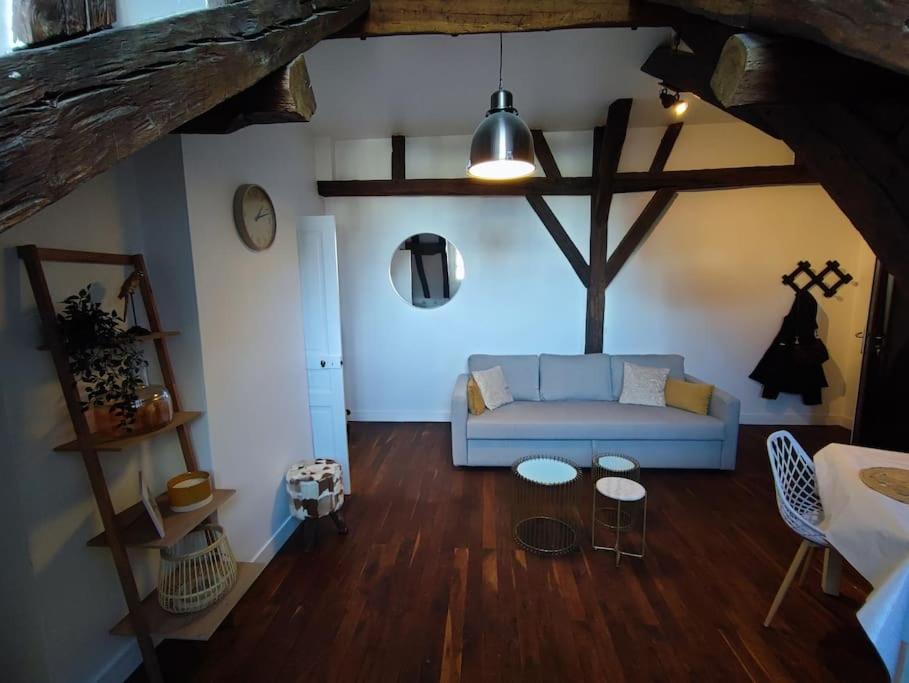 a living room with a blue couch and wooden floors at Magnifique Appartement Beaux arts in Tours