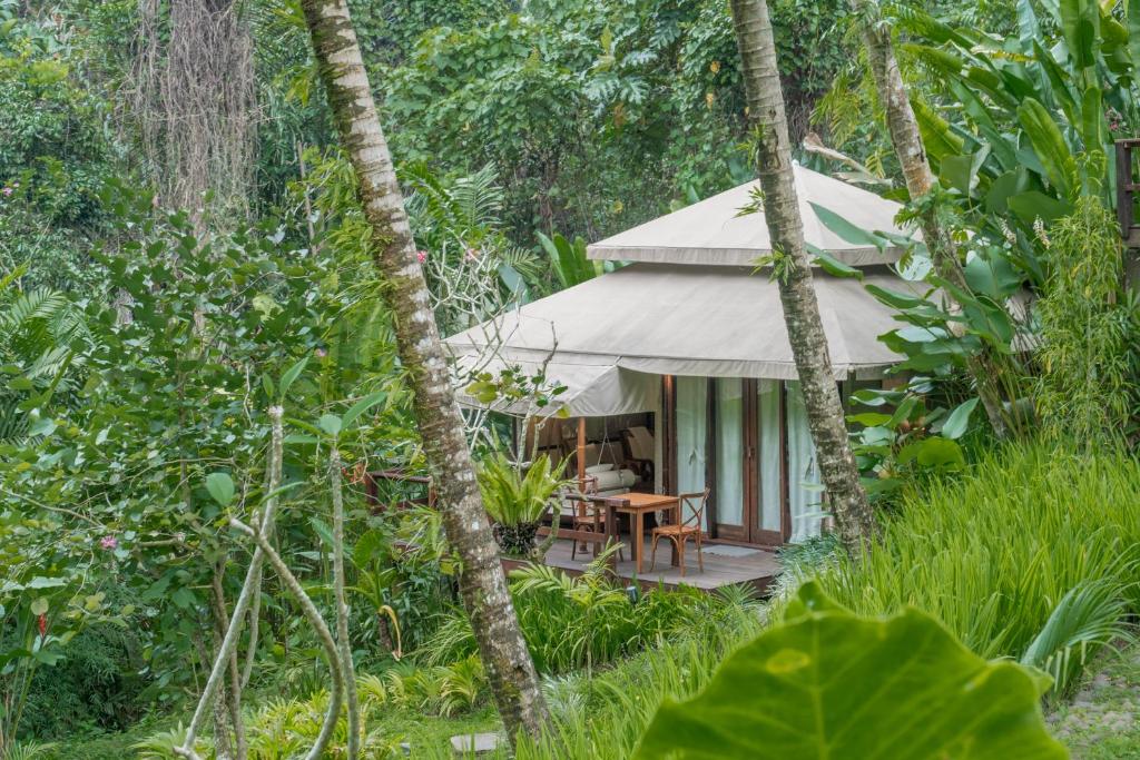 Zahrada ubytování Galalima Glamping by AGATA