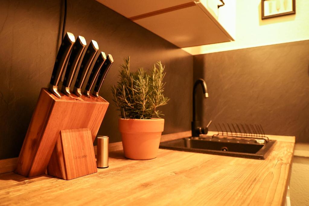 Apartment Serenade am Zwinger - Appartamento Con Terrazza