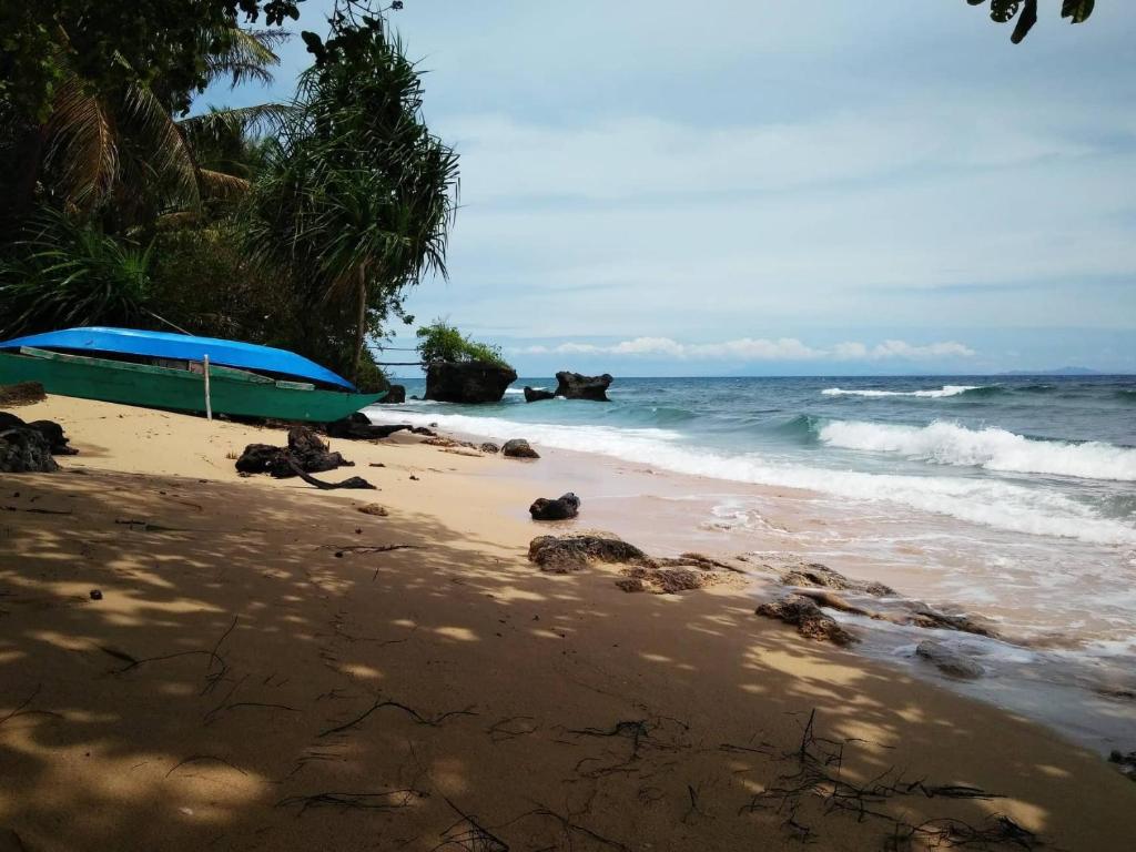 a blue boat sitting on a beach near the ocean at Tori's Backpacker's Paradise in Siquijor