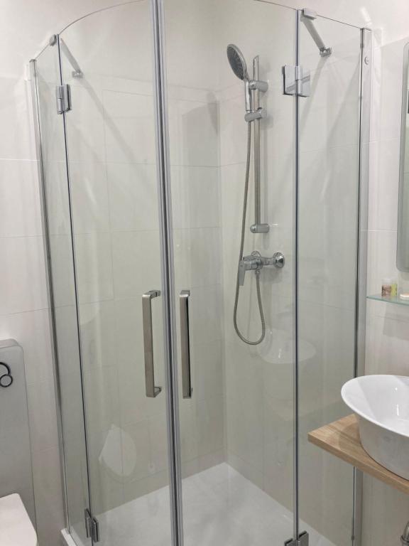 a shower with a glass door next to a sink at Ubytování Na špejcharu, Želevčice in Slaný