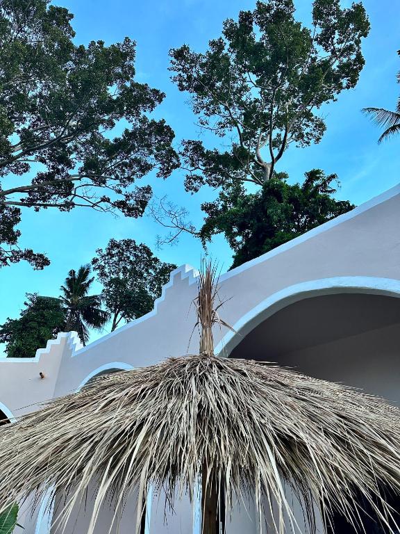 Fotografie z fotogalerie ubytování Zibá Home Suites v Lamai Beach