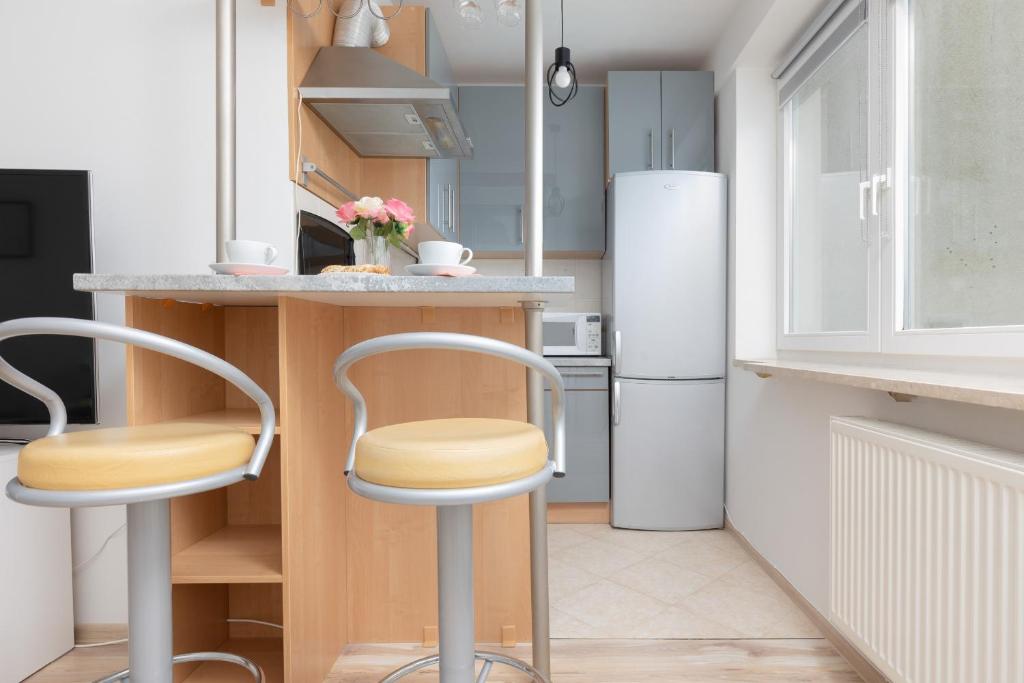 Kuchyňa alebo kuchynka v ubytovaní Metro Kabaty Lovely Studio Apartment by Noclegi Renters