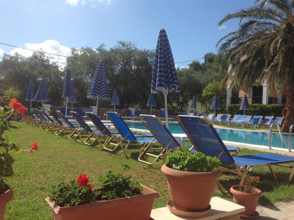 Bazén v ubytování Perros Hotel nebo v jeho okolí