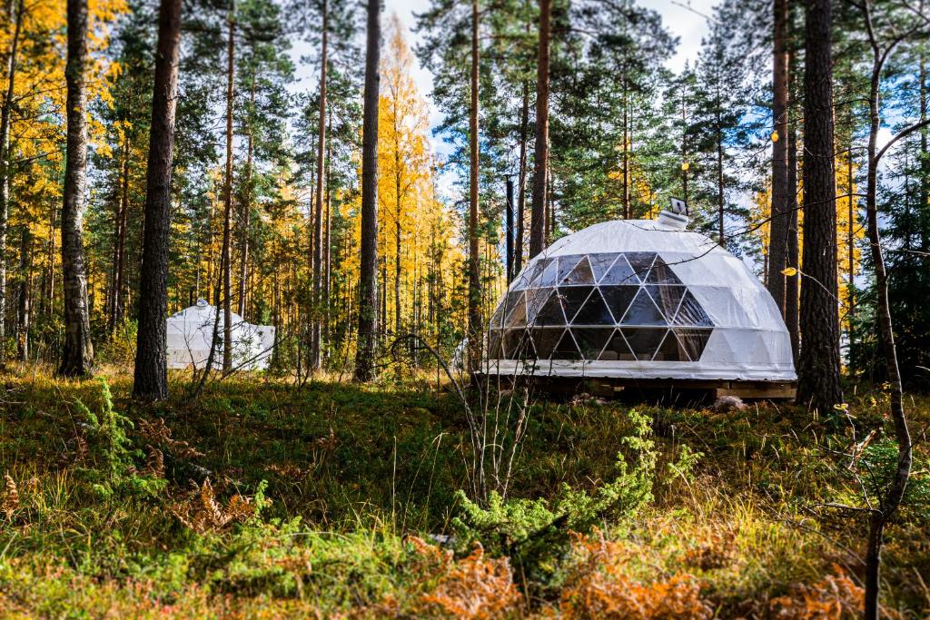an igloo in the middle of a forest at Igloo Glamping LakeLand Camp in Imatra