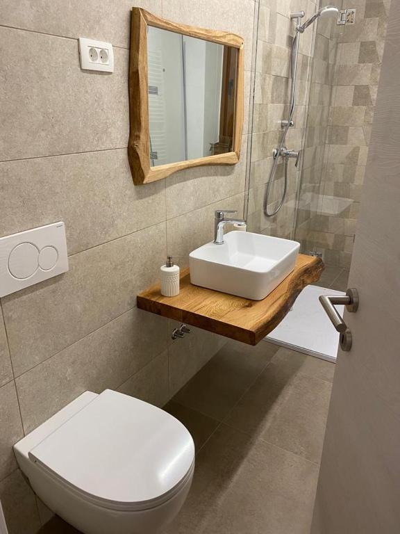 Koupelna v ubytování Apartment Nona Polda