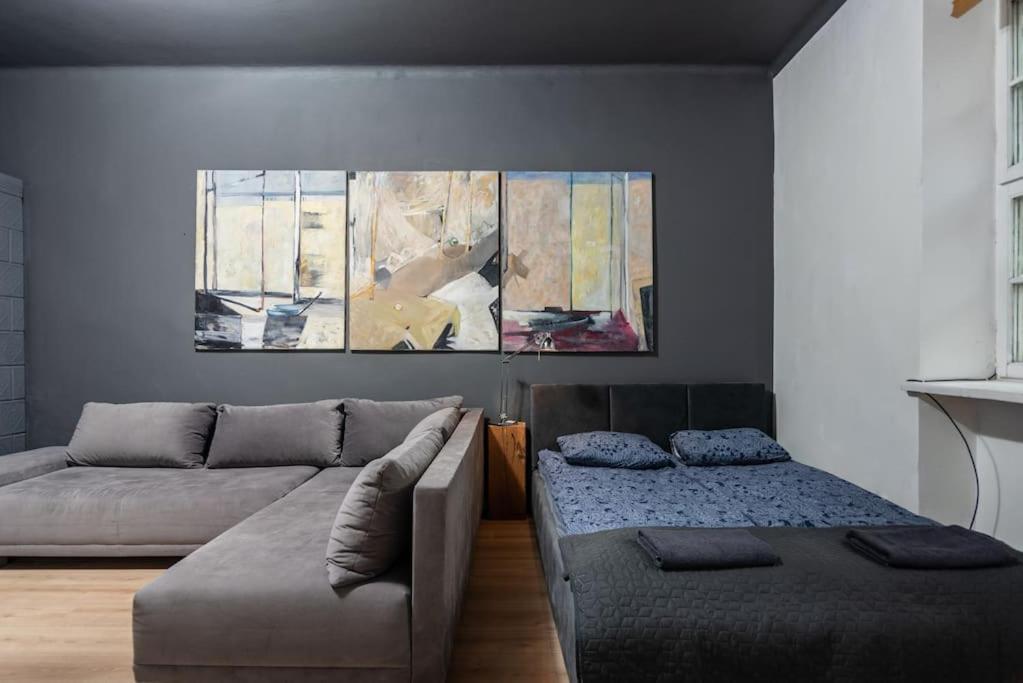 克拉科夫的住宿－Industrial Apartment - Jewish Quarter，客厅配有沙发和墙上的绘画