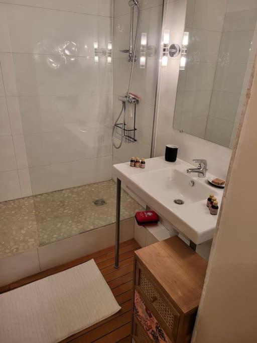 Kúpeľňa v ubytovaní Appartement luxe "La providence" , plein centre