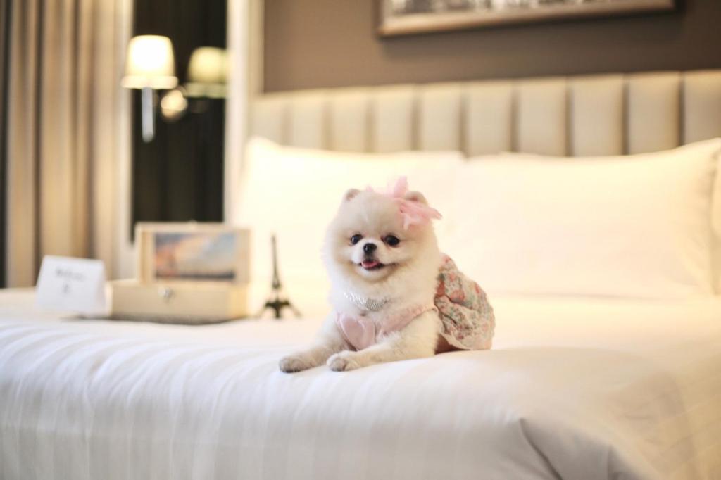 The Quartier Hotel Phromphong - Thonglor - Resim 4