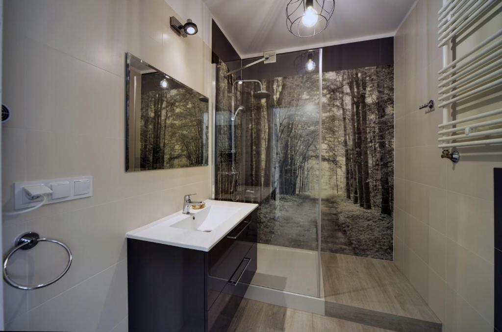 Kúpeľňa v ubytovaní Apart Invest Szklarska 800 B6