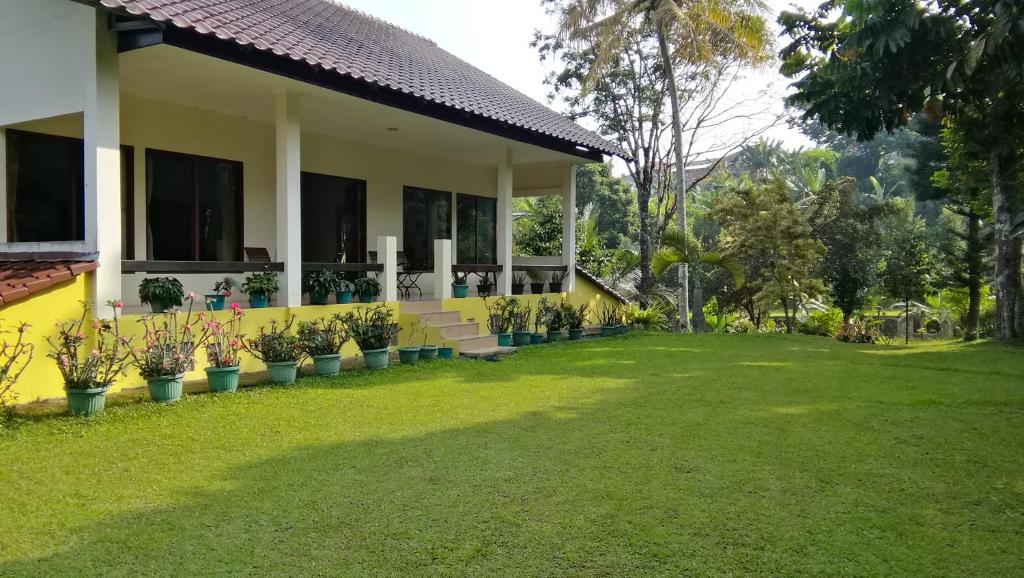 Villa (Entire) Teddy 6500m2 land@Gadog 650m above sea level. - Villa