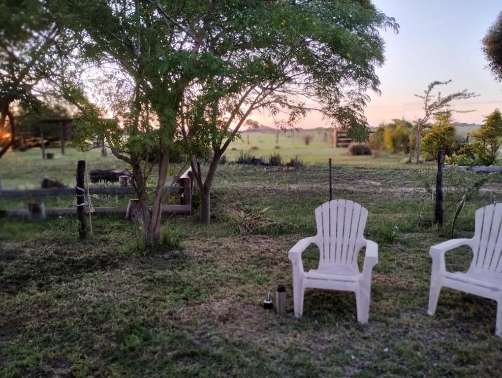 two white chairs sitting in a field with a tree at CASA DE CAMPO in Helvecia