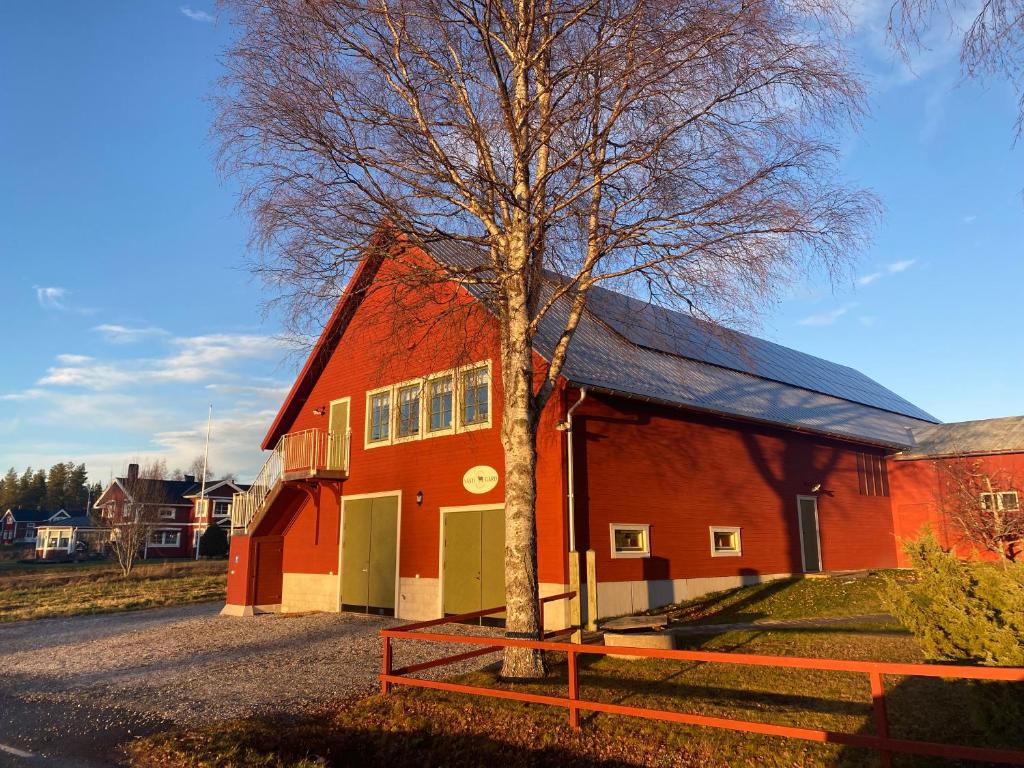 un granero rojo con un árbol delante de él en Newly built apartment next door to the sheep en Norrfjärden