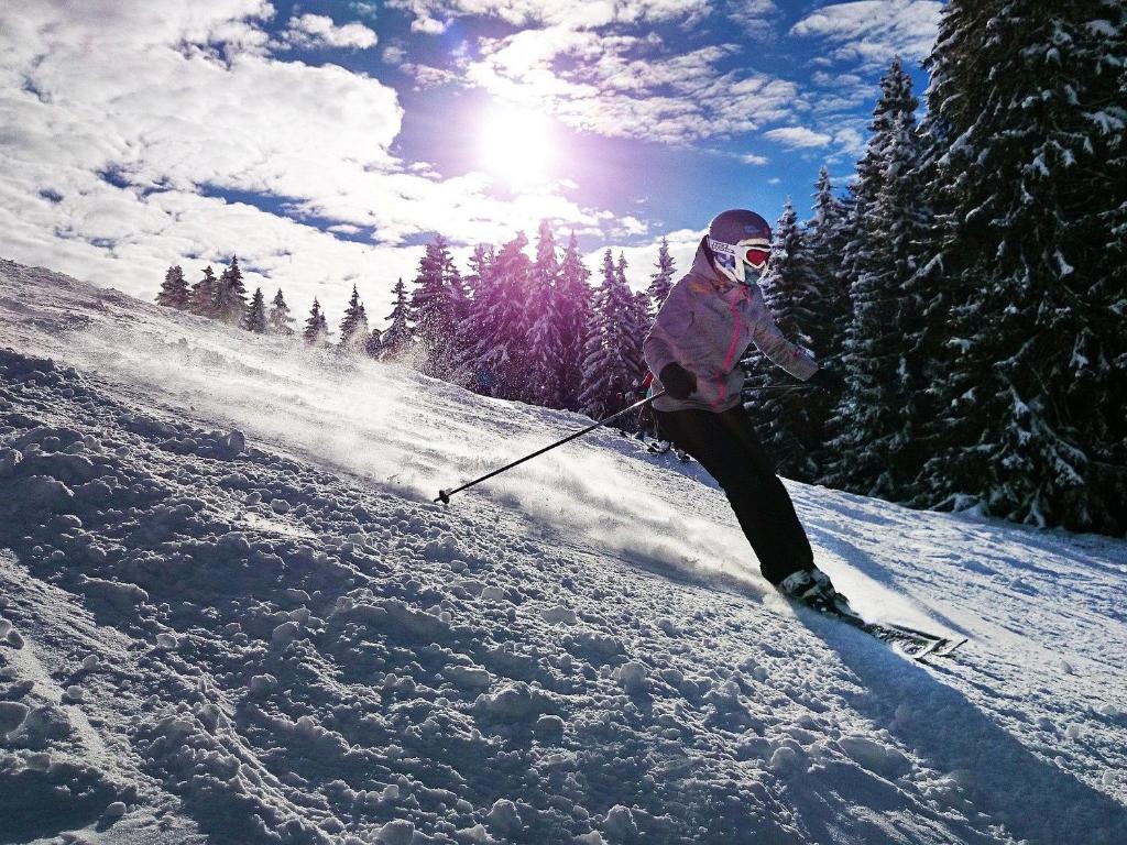 MountainLodge am Ötscher durante l'inverno