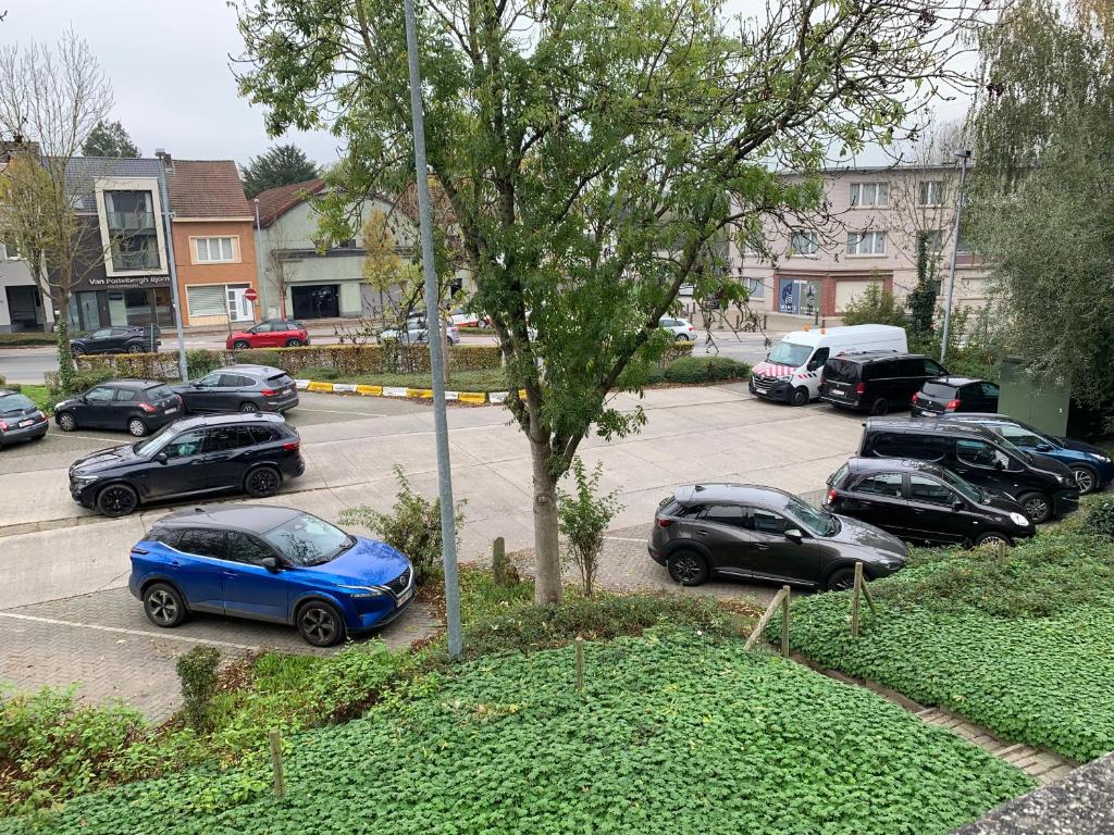 een groep auto's geparkeerd op een parkeerplaats bij Okapi in Halle