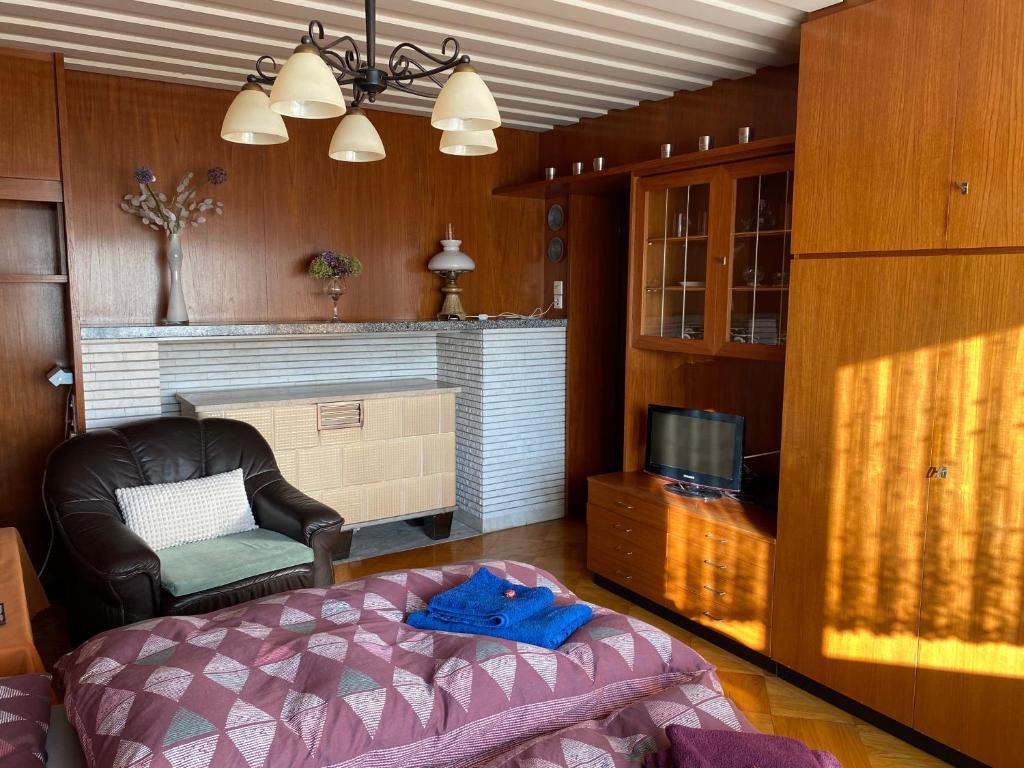 Sala de estar con cama y TV en Zur Tischlerei en Großröhrsdorf