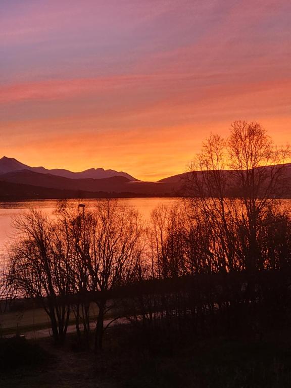 a sunset over a lake with trees in the foreground at Strand Apartments in Kvaloysletta