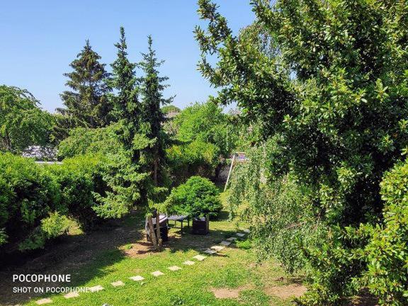 a garden with trees and a bench in the grass at Chez Aurélia - Chambres &amp; Table d&#39;hôtes in La Couture-Boussey