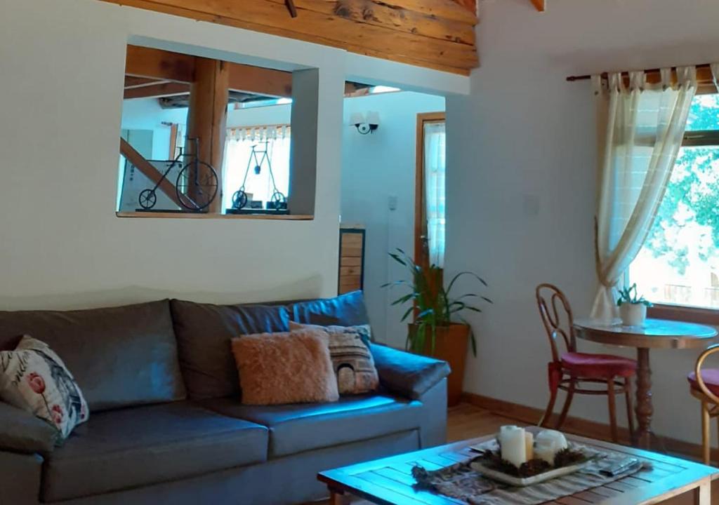 Posezení v ubytování Paso Puyehue