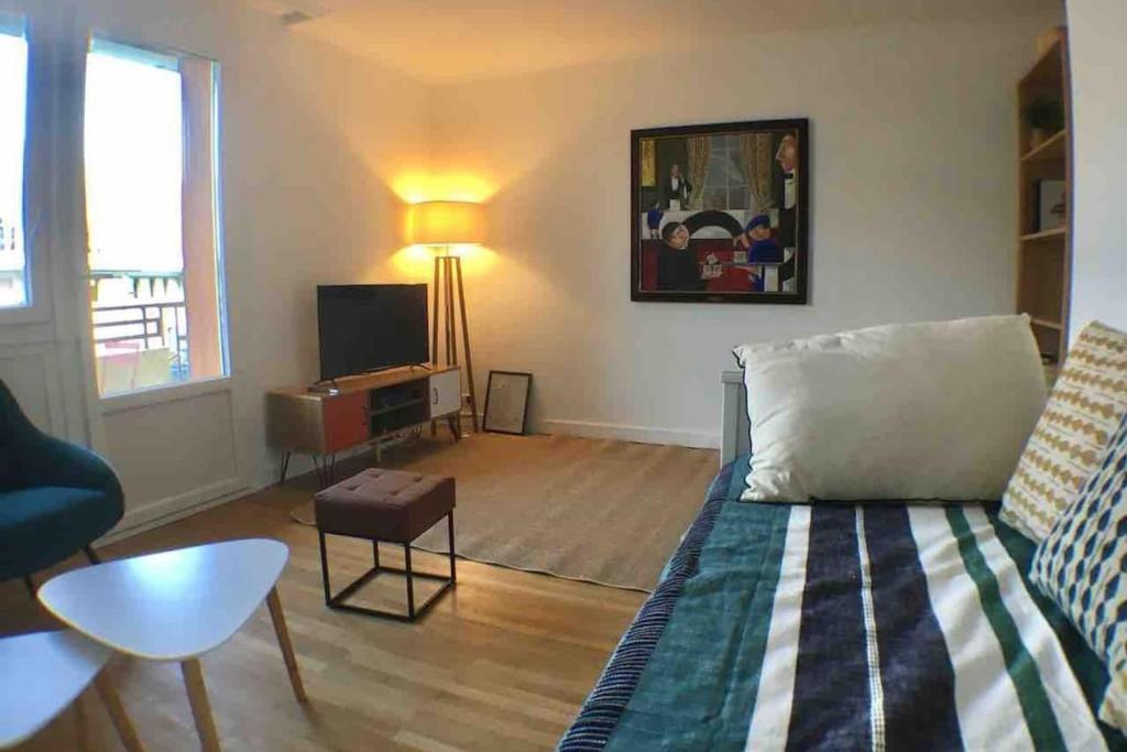TV a/nebo společenská místnost v ubytování Annecy center 2 steps from the lake Cozy and renovated!