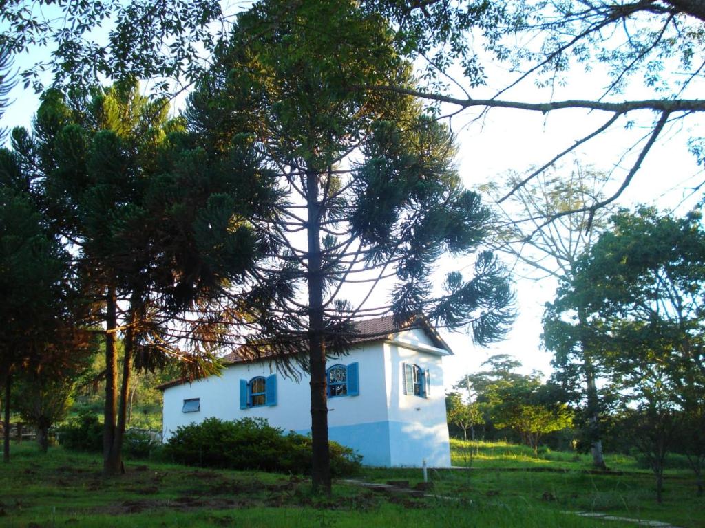 Villa Druida
